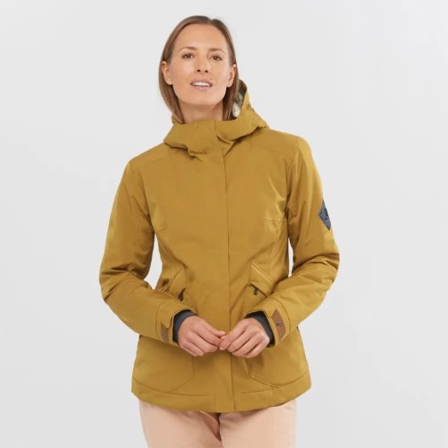 Brown Salomon Snow Rebel Insulated Hoodie Women's Ski Jackets | PH 08159B